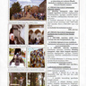Újlaki Újság 2007/október/6 oldal