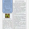Újlaki Újság 2008/április/3 oldal